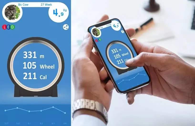 犇犇科技开发APP的流程是怎样的？